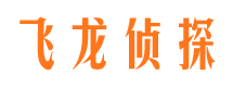 拜城侦探公司